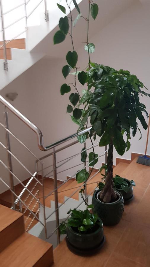 Dativo House Năvodari Eksteriør bilde