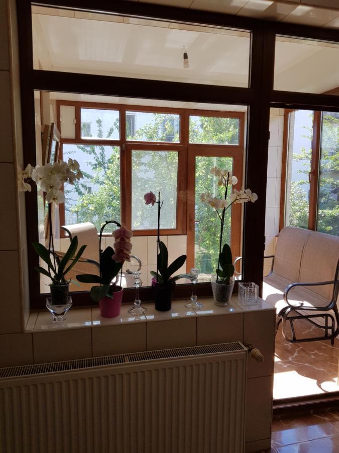 Dativo House Năvodari Eksteriør bilde
