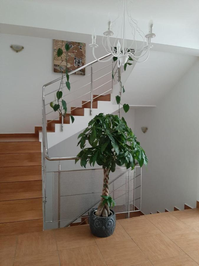 Dativo House Năvodari Eksteriør bilde