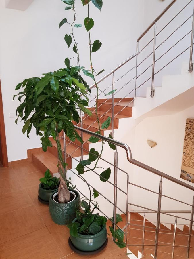 Dativo House Năvodari Eksteriør bilde
