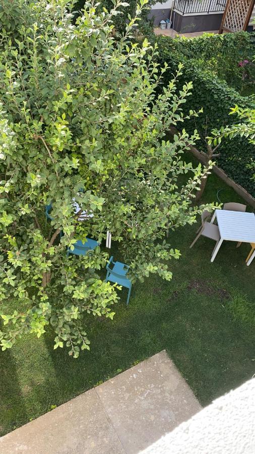 Dativo House Năvodari Eksteriør bilde